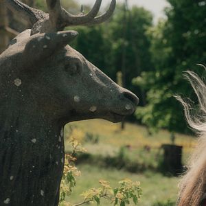 Photo Yolande Moreau