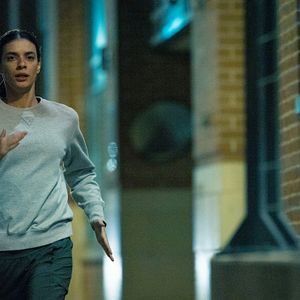 Photo Opérations Spéciales : Lioness