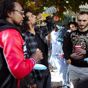 Photo Narvalo : nouvelles galères