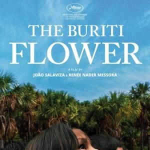 Photo La Fleur de Buriti