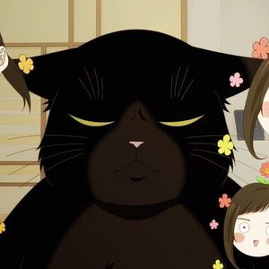 Photo Mon chat à tout faire est encore tout déprimé