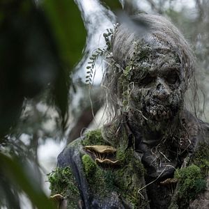 Photo Fear The Walking Dead