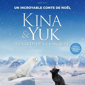 Photo Kina & Yuk : renards de la banquise
