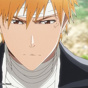 Photo Bleach