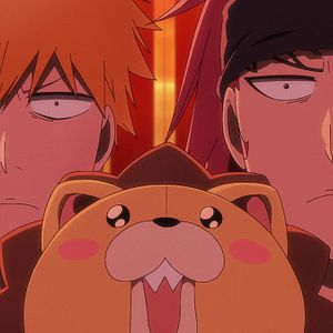 Photo Bleach