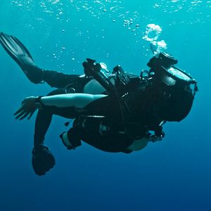 Photo The Dive