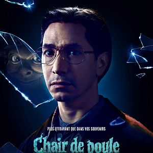 Photo Chair de poule