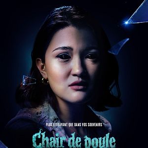 Photo Chair de poule
