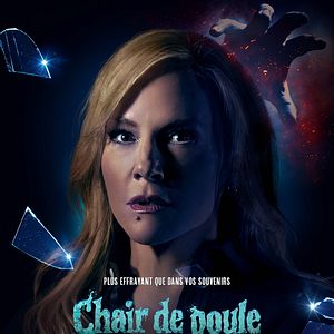 Photo Chair de poule