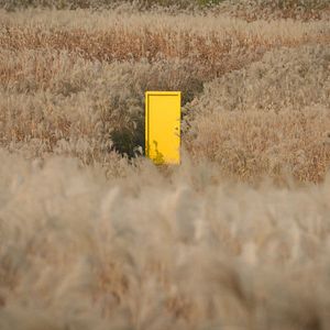 Photo Yellow Door : Laboratoire underground du cinéma coréen