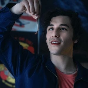 Photo Chair de poule