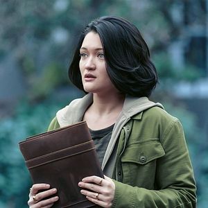 Photo Chair de poule