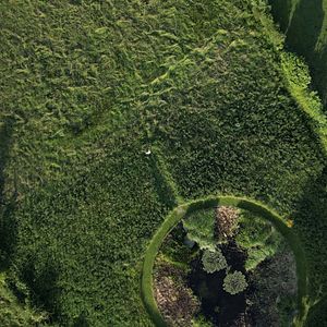 Photo La Vérité du sol