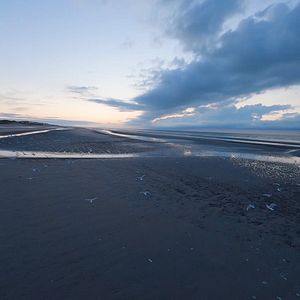 Photo La Vérité du sol