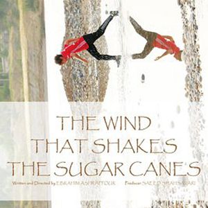 Photo The Wind That Shakes The Sugar Canes