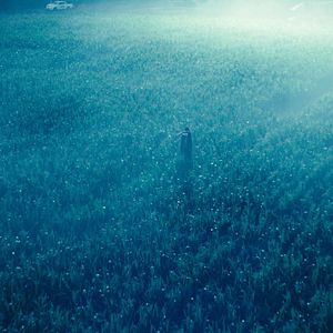 Photo Le Règne animal