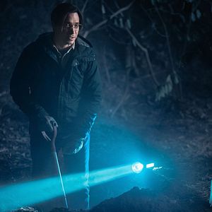 Photo Chair de poule