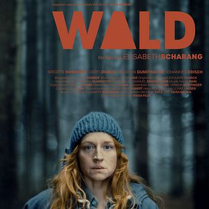 Photo Wald