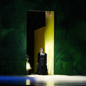 Photo Florencia sur l’Amazone (Metropolitan Opera)