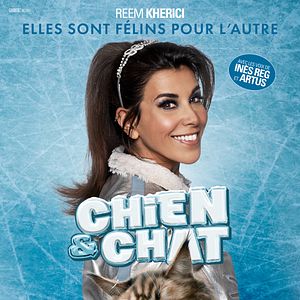 Photo Chien & Chat