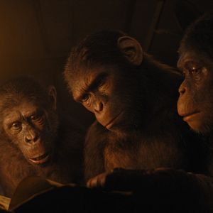 Photo La Planète des Singes : Le Nouveau Royaume