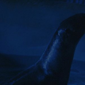 Photo Il fait nuit en Amérique