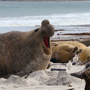 Photo Earthsounds : les sons de la Terre