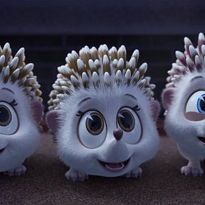 Photo Madagascar : la savane en délire