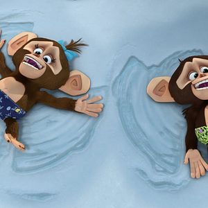 Photo Madagascar : la savane en délire