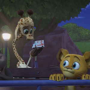 Photo Madagascar : la savane en délire