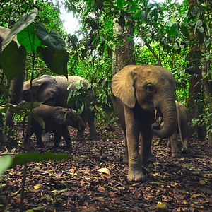 Photo Notre monde vivant