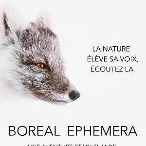 Photo Boreal Ephemera
