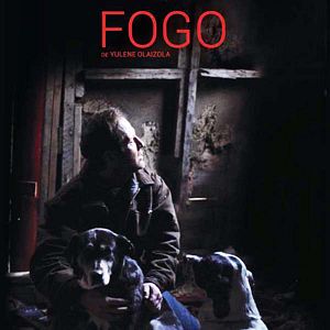 Photo Fogo