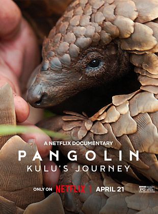poster du film Pangolin : Chemins de vie