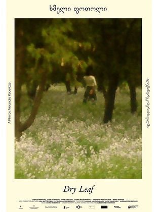 poster du film Dry Leaf
