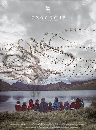 poster du film Ozogoche