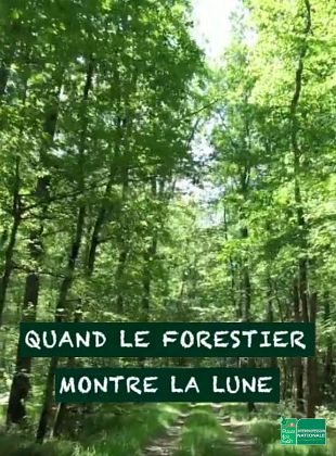poster du film Quand le forestier montre la lune