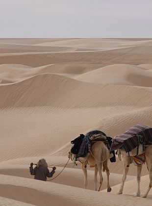 La Tunisie, entre rencontres et traditions