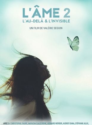 poster du film Bande-annonce L'Ame : l'Au-delà et l'Invisible