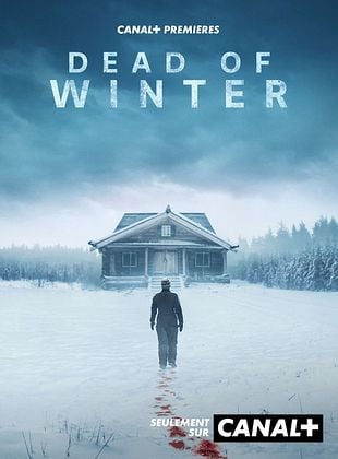 poster du film Dead Of Winter