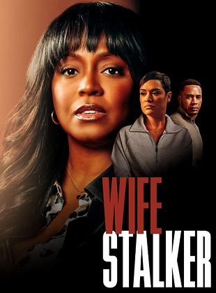 poster du film Le mensonge de trop