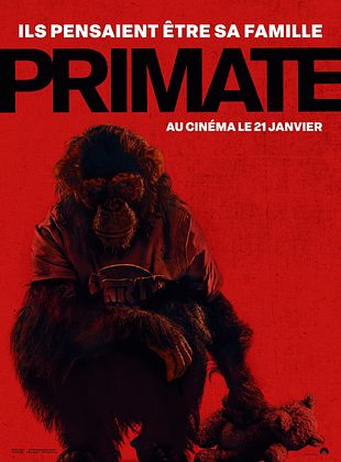 poster du film Primate