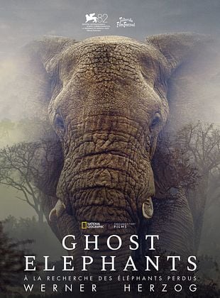 poster du film Ghost Elephants