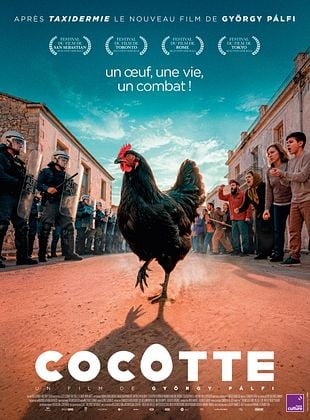 poster du film Bande-annonce Cocotte