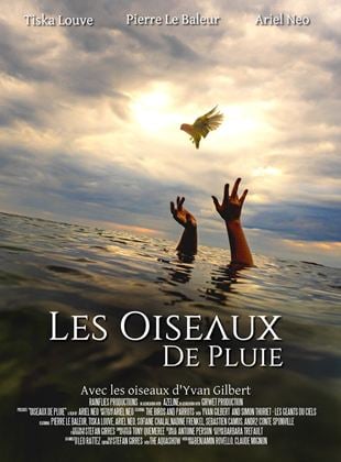 Les Oiseaux de Pluie