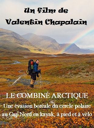 poster du film Le Combiné Arctique