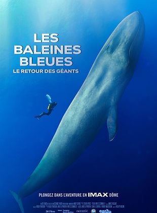 Les baleines bleues : le retour des géants