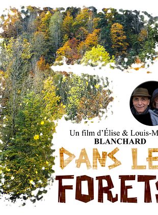 poster du film Bande-annonce ALTAÏR conférences - Dans les forêts