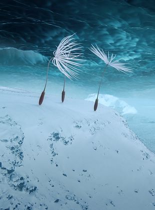 voir Planètes streaming gratuit