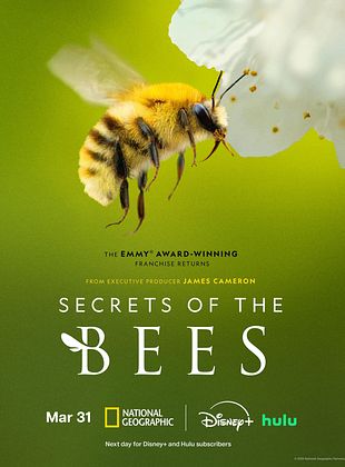 poster de la série Les Secrets des abeilles 